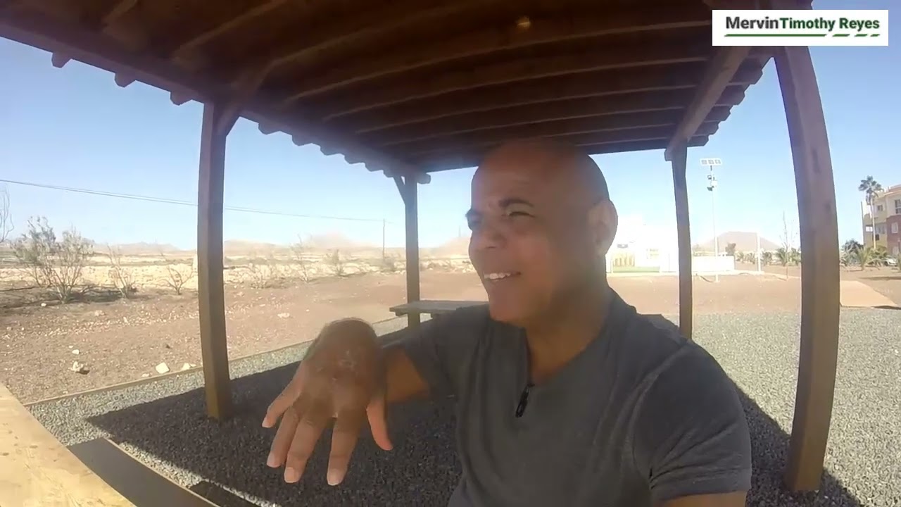 AI & Video: Powerful Strategies for Global Business Success