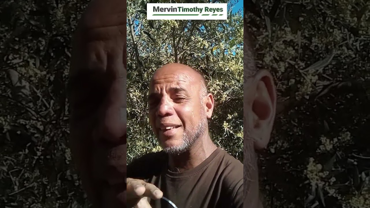 📹💡💰 How To Make Money Online Daily Vlogging With Purpose