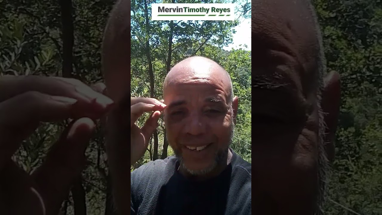 🧠 How To Make Money Online Being In The Content Creation Mindset