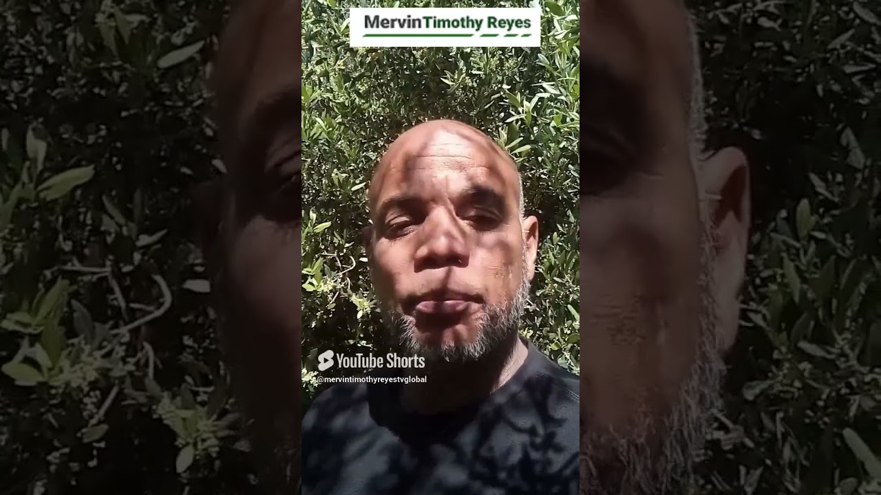 🎬 Make Money Online From Your Videos With TV Channel Using Content Control