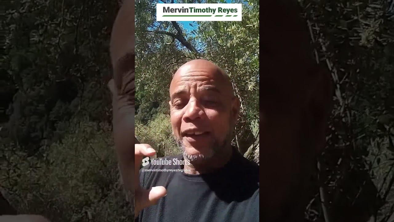 Make Money Online From Your Videos With TV Channel From Your Inner Content Vault Of Life Experiences