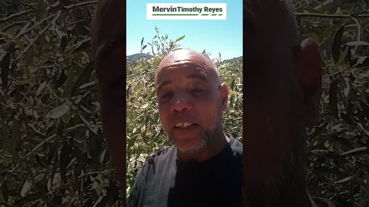 🎬 How To Make Money Online With Your Own Video Content