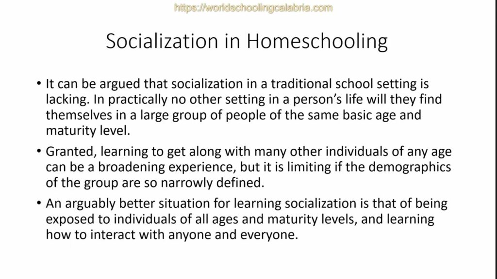 Video 05: What About Socialization?